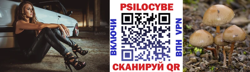 Псилоцибиновые грибы Cubensis  Купить  Малмыж 